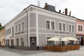 Hotel THT Policka